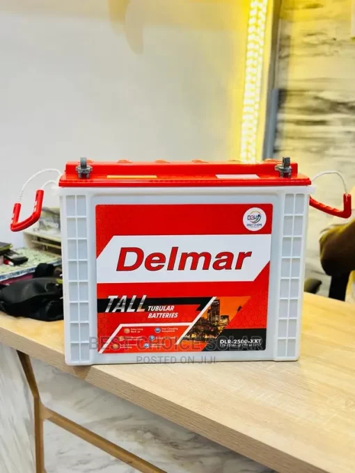 220ah 12v Delmer Tubular Battery